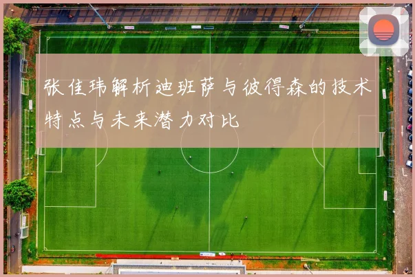 张佳玮解析迪班萨与彼得森的技术特点与未来潜力对比