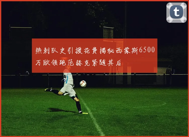 热刺队史引援花费揭秘西蒙斯6500万欧领跑范赫克紧随其后