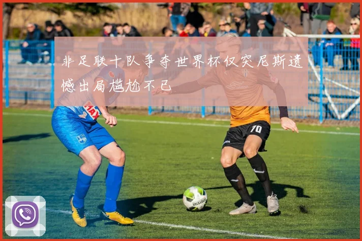 非足联十队争夺世界杯仅突尼斯遗憾出局尴尬不已